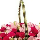 Cung Kiệm flowers  -  Unrivaled Beauty Flower Bouquet/Arrangement