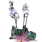 Valença flowers  -  Flawless Flower Bouquet/Arrangement
