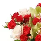 Balkanci blomster- skapning Blomsterarrangementer bukett