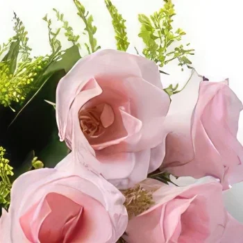 Belem bunga- Buket 7 Mawar Merah Muda Rangkaian bunga karangan bunga