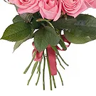 Italy flowers  -  Bouquet of 12 Pink Roses Flower Bouquet/Arrangement