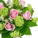 Bristol blomster- Rødmende elegansebukett Blomsterarrangementer bukett