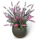Adma flowers  -  Arrangement 2 Flower Bouquet/Arrangement