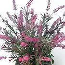 Adma flowers  -  Arrangement 2 Flower Bouquet/Arrangement