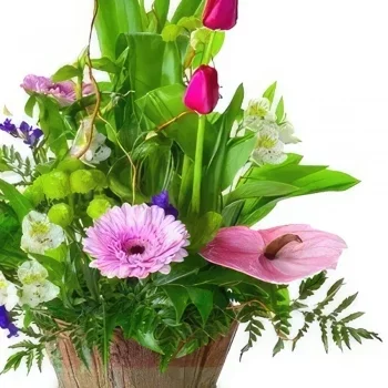 ดอกไม้ บายาโดลิด - ขบวนพาเหรดกลีบสีชมพู ช่อดอกไม้/การจัดวางดอกไม้