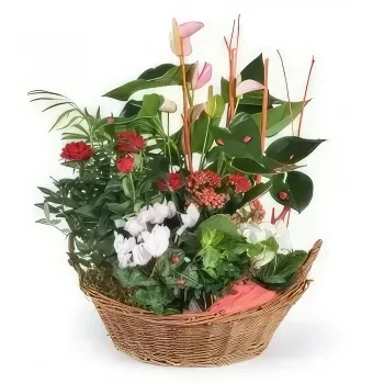 Pau blomster- Planteskål La Corbeille Fleurie Blomst buket/Arrangement