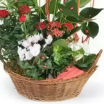 nett Blumen Florist- Pflanzschale La Corbeille Fleurie Bouquet/Blumenschmuck