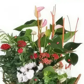 fiorista fiori di bordò- Vaso per piante La Corbeille Fleurie Bouquet floreale