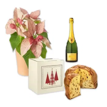 Ιταλία λουλούδια- Ροζ Poinsettia με Panettone & Sparkling Λουλούδι Παράδοση