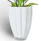 flores Cite Mohamed Ali floristeria -  planta llena de belleza Ramo de flores/arreglo floral