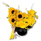Garhoud flowers  -  Premium Black Velvet Box with Sunflowers Flower Bouquet/Arrangement