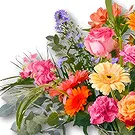 Holland flowers  -  Deluxe Bouquet Flower Bouquet/Arrangement