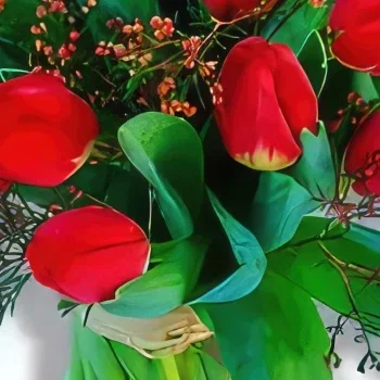 Cascais λουλούδια- Κόκκινος πειρασμός Μπουκέτο/ρύθμιση λουλουδιών