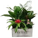 Cala Llonga flowers  -  Green Base Flower Bouquet/Arrangement