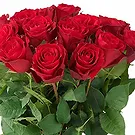 The Hague flowers  -  Red roses (40cm) Flower Bouquet/Arrangement