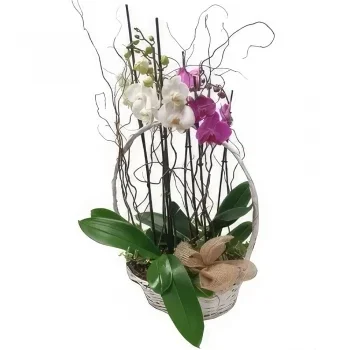 מדריד פרחים- מתנה יוקרתית זר פרחים/סידור פרחים
