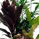Spain flowers  -  The Holly Flower Bouquet/Arrangement