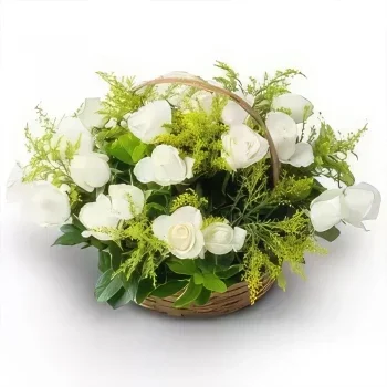 Braсilia cveжe- Korpa сa 24 bele ruže Cvet buket/aranžman