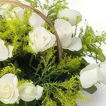 Belem bunga- Keranjang dengan 24 Mawar Putih Rangkaian bunga karangan bunga