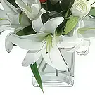 Macuilacatl Chico flowers  -  Beauty and beast Flower Bouquet/Arrangement