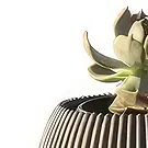 Adma flowers  -  Arrangement 4 Flower Bouquet/Arrangement