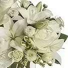 Tarut Blumen Florist- Reiner Geist Bouquet/Blumenschmuck