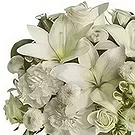 Tarut Blumen Florist- Reiner Geist Bouquet/Blumenschmuck
