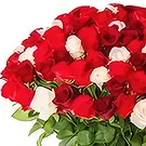 Cung Kiệm flowers  -  Lovely Aspects Flower Bouquet/Arrangement