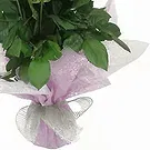 Smederevska Palanka flowers  -  Whispering Petals Flower Bouquet/Arrangement