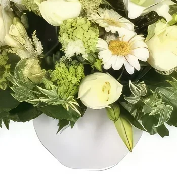 flores de Marselha- Arranjo de flores de pureza Bouquet/arranjo de flor
