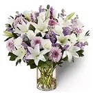 Garhoud flowers  -  Purple Innocence  Flower Bouquet/Arrangement
