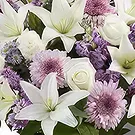 Garhoud flowers  -  Purple Innocence  Flower Bouquet/Arrangement