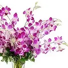 Phitsanulok flowers  -  Devine Choice Flower Bouquet/Arrangement