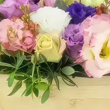 بائع زهور مونبلييه- تكوين كيتو باستيل زهرة مربع باقة الزهور