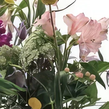 מדריד פרחים- צִבעוֹנִי זר פרחים/סידור פרחים