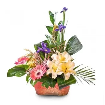 ดอกไม้ บายาโดลิด - จานสีกลีบดอกสดใส ช่อดอกไม้/การจัดวางดอกไม้