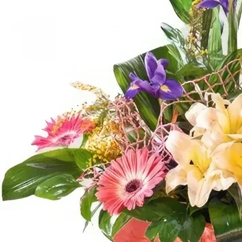 ดอกไม้ บายาโดลิด - จานสีกลีบดอกสดใส ช่อดอกไม้/การจัดวางดอกไม้