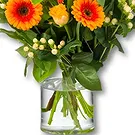 Holland flowers  -  Bouquet Sunshine Flower Bouquet/Arrangement