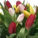 Cala Llonga flowers  -  Modern Composition Flower Bouquet/Arrangement