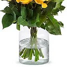 Amsterdam-Zuidoost flowers  -  Yellow roses (40 cm) Flower Bouquet/Arrangement