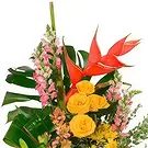 Macuilacatl Chico flowers  -  Caribbean Island Flower Bouquet/Arrangement