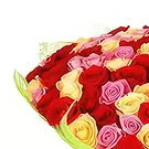 بائع زهور بايكالسكو- بتلات مبهجة باقة الزهور