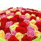 بائع زهور بايكالسكو- بتلات مبهجة باقة الزهور