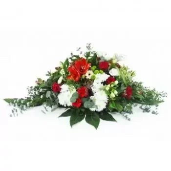 Lille blomster- Rød og hvit racket Delphi Blomst Levering