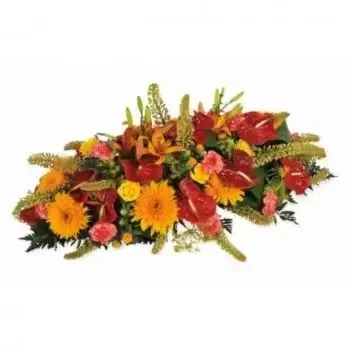 New Caledonia kedai bunga online - Kasut salji merah & oren L'Eclipse Sejambak