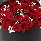Ajman flowers  -  Ray of Love Flower Bouquet/Arrangement