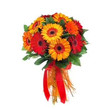 fiorista fiori di Sardinia- Bouquet Di Gerbere Rosse