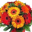 fiorista fiori di Firenze- Bouquet di Gerbere Rosse Bouquet floreale
