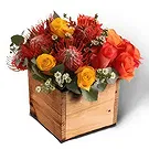 Richards Bay flowers  -  Pincushion  Box Flower Bouquet/Arrangement