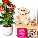 Italy flowers  -  Sweet Medley: Gourmet Gift Basket Flower Bouquet/Arrangement